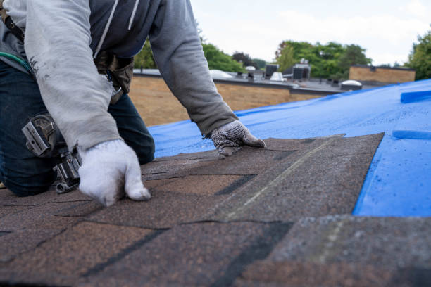 Best Storm Damage Roof Repair  in Oneonta, AL